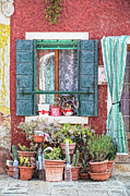 Window Flowers of Venice Photograph by David Letts