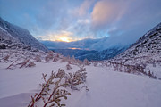 Windswept, Spring Sunrise In Tuckerman Ravine Photograph by Jeff Sinon