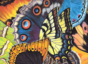 Wings of North Amerca Painting by Lucy Arnold