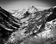 Winter Bells Black and White Photograph by Saving Memories By Making Memories