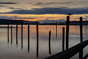 Winter Dawn Photograph by Cindy Shebley Winter Dawn Photograph by Cindy Shebley