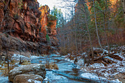 Winter in Oak Creek Canyon Photograph by Gene Lee