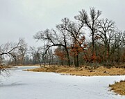 Winter Landscape Photograph by Sarah Lilja Winter Landscape Photograph by Sarah Lilja