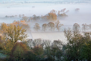 Winter Morning Light in the Frost and Fog Photograph by Tim Gainey