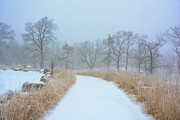 Winter on The Appalachian Trail Bear Mountain Section 2 Photograph by Raymond Salani III