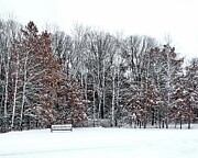 Winter Rest Photograph by Sarah Lilja