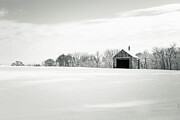 Winter Shelter II Photograph by Steven David Roberts