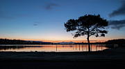 Winter Sunrise Dawn Panaroma Photograph by Cindy Shebley Winter Sunrise Dawn Panaroma Photograph by Cindy Shebley
