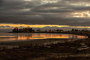 Winter Sunrise on Parksville Bay Photograph by Randy Hall