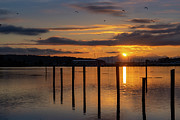 Winter Sunrise Over Bay Photograph by Cindy Shebley Winter Sunrise Over Bay Photograph by Cindy Shebley