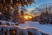 Winter sunset Photograph by Andreas Levi Winter sunset Photograph by Andreas Levi