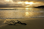 Winter Sunset - Downings, Donegal Photograph by John Soffe