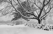 Winter Tranquility Photograph by Steven David Roberts