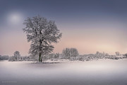 Winter tree Photograph by Dejan Travica