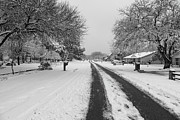 Winter wonderland in a Texas neighborhood Photograph by Brigitte Blanchette Thompson