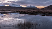 Winters Dawn, Lochan Na Stainge, Rannoch Moor, Scotland Photograph by Sarah Howard