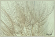 Winters Sketch Digital Art by Rebecca Langen