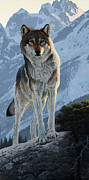 Wolf Painting by Al Agnew Wolf Painting by Al Agnew