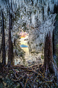 Wonderland Photograph by Brad Bellisle Wonderland Photograph by Brad Bellisle