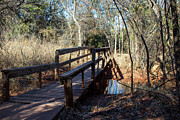 Wooden Bridge Along the Trail at Abilene State Park Photograph by Brigitte Blanchette Thompson