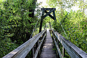 Suspended Splendor A Wooden Bridge in Nature's Embrace Photograph by Brigitte Blanchette Thompson Suspended Splendor A Wooden Bridge in Nature's Embrace Photograph by Brigitte Blanchette Thompson