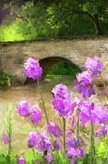 Woodland Phlox At Antietam Digital Art by Lois Bryan
