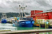 Working Class Harbor Photograph by Chriss Pagani