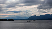 Working Ketchikan Waters Photograph by Ed Williams