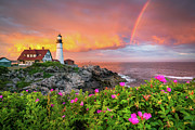 World of Wonder Photograph by Benjamin Williamson