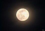 Worm Moon Photograph by Vallee Johnson