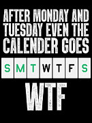 WTF Sarcastic Humor Funny Digital Art by Jacob Zelazny
