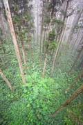 Xi Tou Photograph by Alexander Kunz