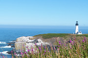 Yaquina Lighthouse Photograph by Mary Hone
