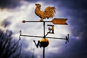 Yard art Photograph by Tatiana Travelways
