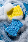Yellow and Blue Sponge With White Soap Foam on Blue Background Photograph by MirageC