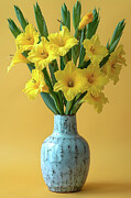 Yellow Gladiolus Digital Art by Mia Thompson