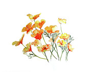 Yellow Poppies Painting by Luisa Millicent