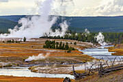 Yellowstone Geyser Basin Photograph by Tim Stanley