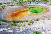 Yellowstone orange-green pool at springtime Photograph by Tatiana Travelways Yellowstone orange-green pool at springtime Photograph by Tatiana Travelways