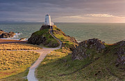 Ynys Llandwyn Photograph by Mariusz Talarek
