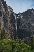 Yosemite Falls, Yosemite National Park Photograph by Abigail Diane Photography