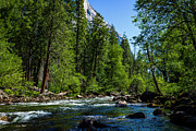 Yosemite River Photograph by David Fountain