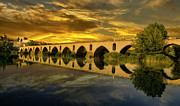 Zamora's Roman Bridge Photograph by Micah Offman