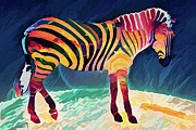 Zebra of a Different Color Digital Art by John Haldane