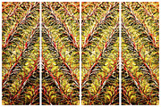 Zig Zag Abstract Photograph by Tatiana Travelways