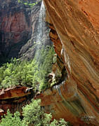 Zion's Diamond Cascade Photograph by Dave Diegelman Zion's Diamond Cascade Photograph by Dave Diegelman