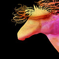  Colorful Abstract Wild Horse Orange Yellow And Pink Silhouette by Michelle Wrighton