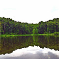 Ferdinand Forest Reflection Photograph by Stacie Siemsen Ferdinand Forest Reflection Photograph by Stacie Siemsen