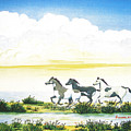 Indian Ponies by Jerome Stumphauzer Indian Ponies by Jerome Stumphauzer