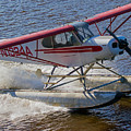  River Take Off on Cherna River by Allan Levin